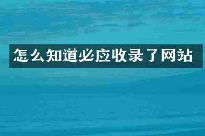 怎么知道必应收录了网站