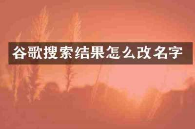 谷歌搜索结果怎么改名字