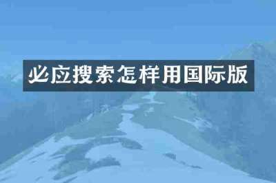 必应搜索怎样用国际版