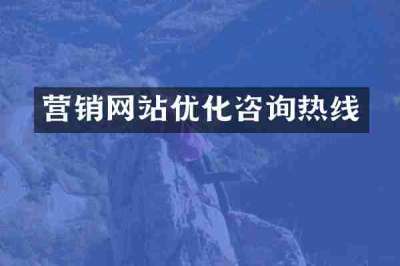 营销网站优化咨询热线