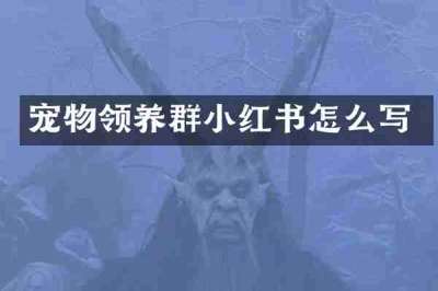 宠物领养群小红书怎么写