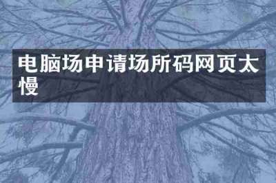 电脑场申请场所码网页太慢