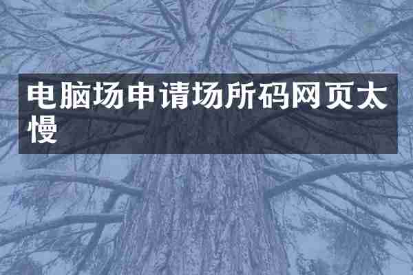 电脑场申请场所码网页太慢