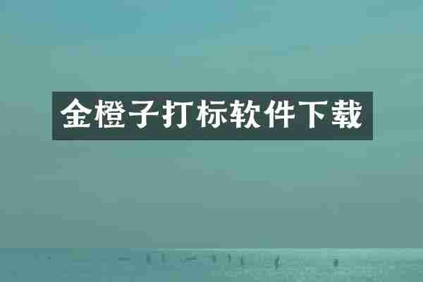 金橙子打标软件下载