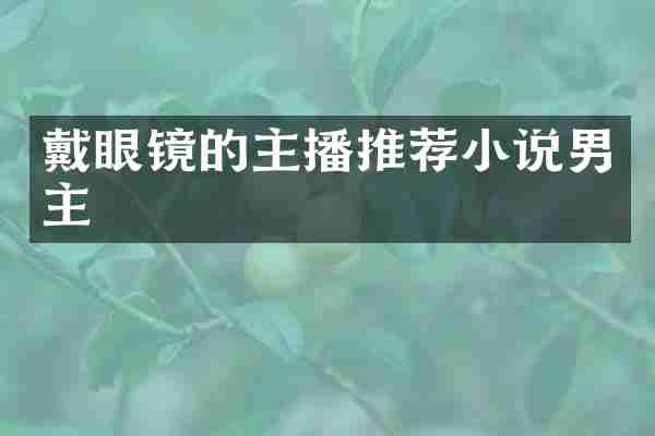 戴眼镜的主播推荐小说男主