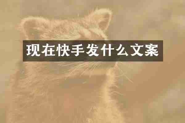 现在快手发什么文案