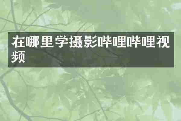 在哪里学摄影哔哩哔哩视频