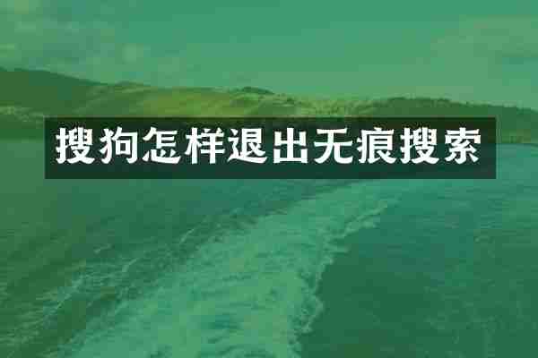 搜狗怎样退出无痕搜索