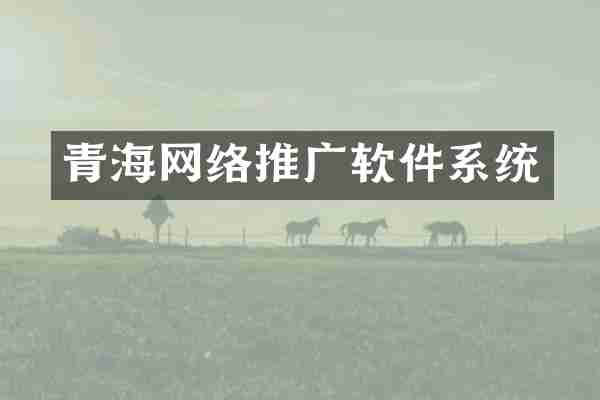 青海网络推广软件系统