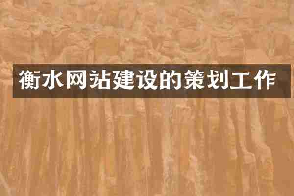 衡水网站建设的策划工作