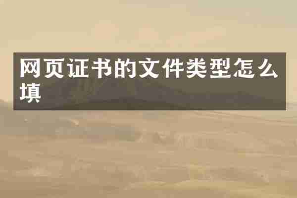 网页证书的文件类型怎么填
