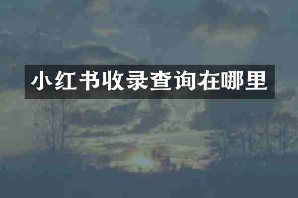 小红书收录查询在哪里