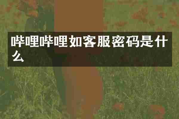 哔哩哔哩如客服密码是什么