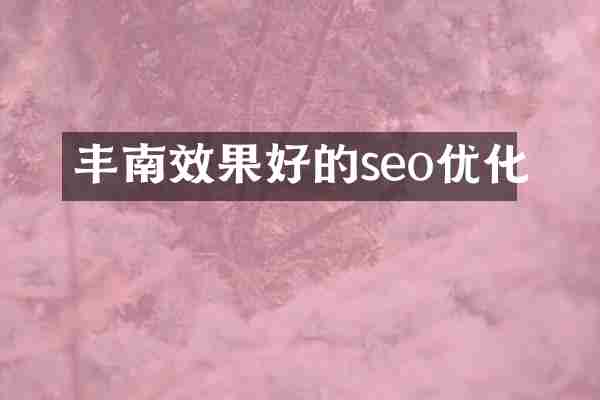 丰南效果好的seo优化