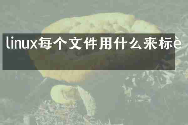 linux每个文件用什么来标识