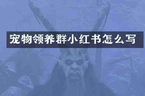 宠物领养群小红书怎么写