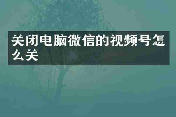 关闭电脑微信的视频号怎么关