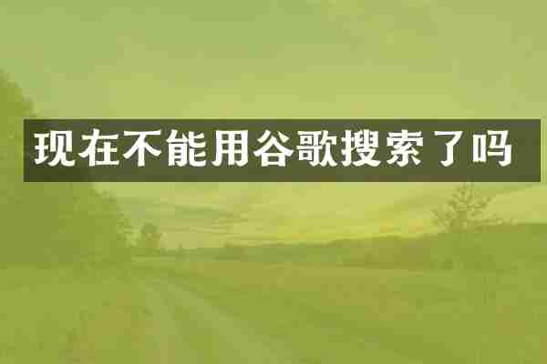 现在不能用谷歌搜索了吗