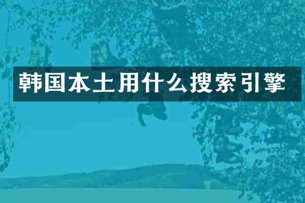 韩国本土用什么搜索引擎