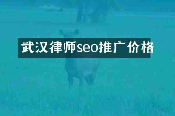 武汉律师seo推广价格