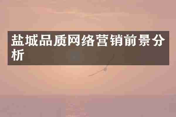 盐城品质网络营销前景分析