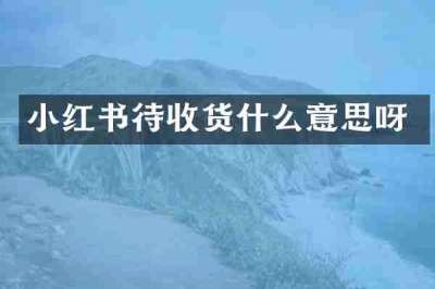 小红书待收货什么意思呀