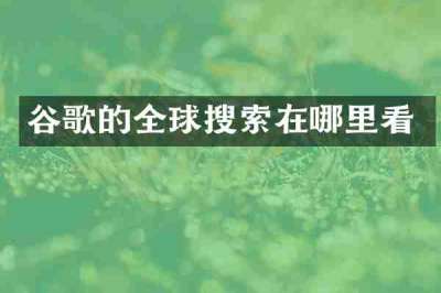 谷歌的全球搜索在哪里看