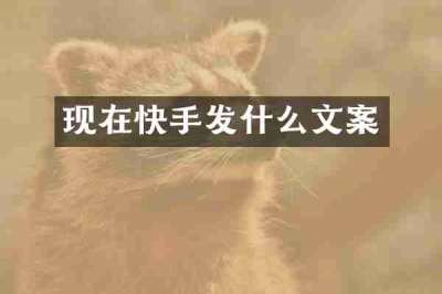 现在快手发什么文案