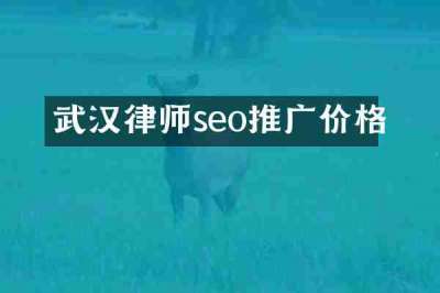 武汉律师seo推广价格