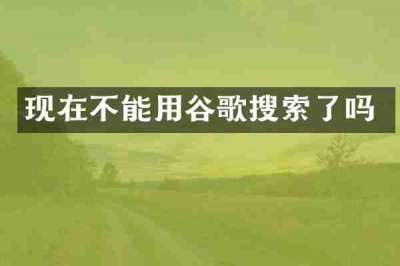 现在不能用谷歌搜索了吗