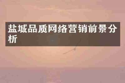 盐城品质网络营销前景分析