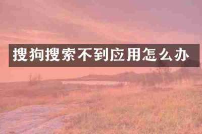 搜狗搜索不到应用怎么办
