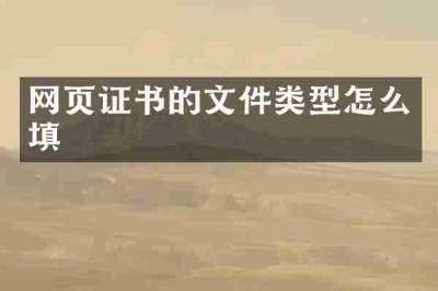 网页证书的文件类型怎么填