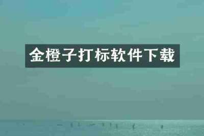 金橙子打标软件下载