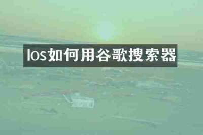 Ios如何用谷歌搜索器