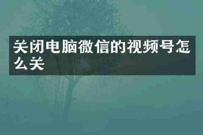 关闭电脑微信的视频号怎么关