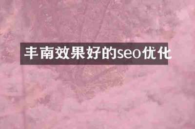 丰南效果好的seo优化