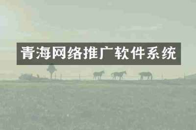 青海网络推广软件系统