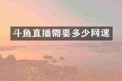 斗鱼直播需要多少网速