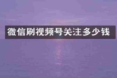 微信刷视频号关注多少钱