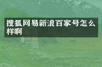 搜狐网易新浪百家号怎么样啊
