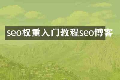 seo权重入门教程seo博客