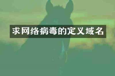 求网络病毒的定义域名