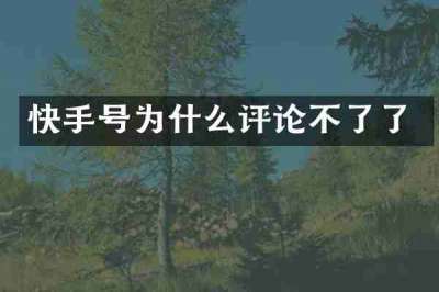 快手号为什么评论不了了