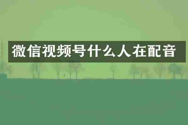 微信视频号什么人在配音