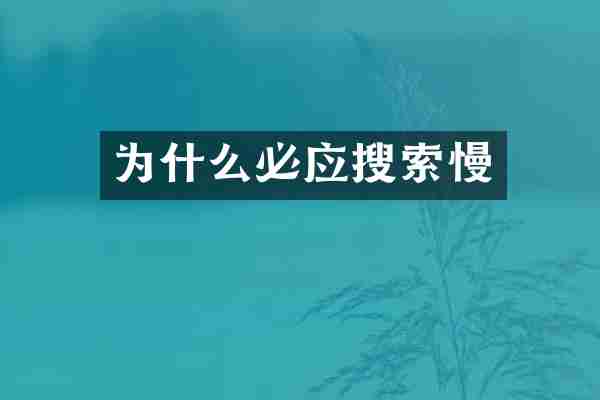 为什么必应搜索慢