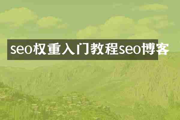 seo权重入门教程seo博客