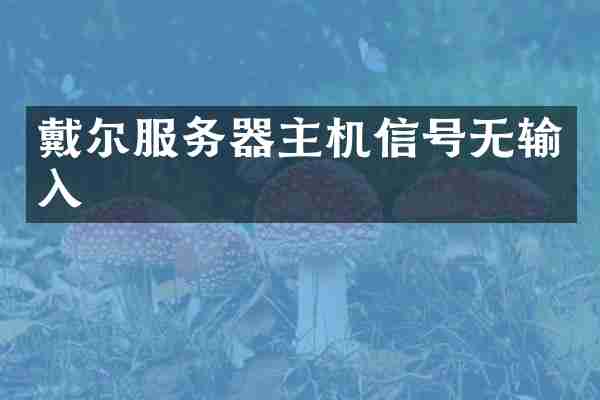 戴尔服务器主机信号无输入
