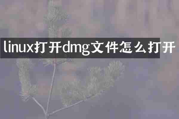 linux打开dmg文件怎么打开