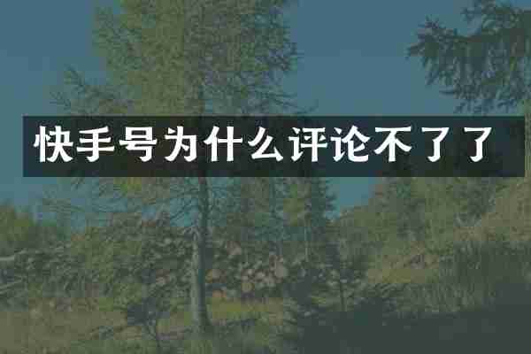 快手号为什么评论不了了